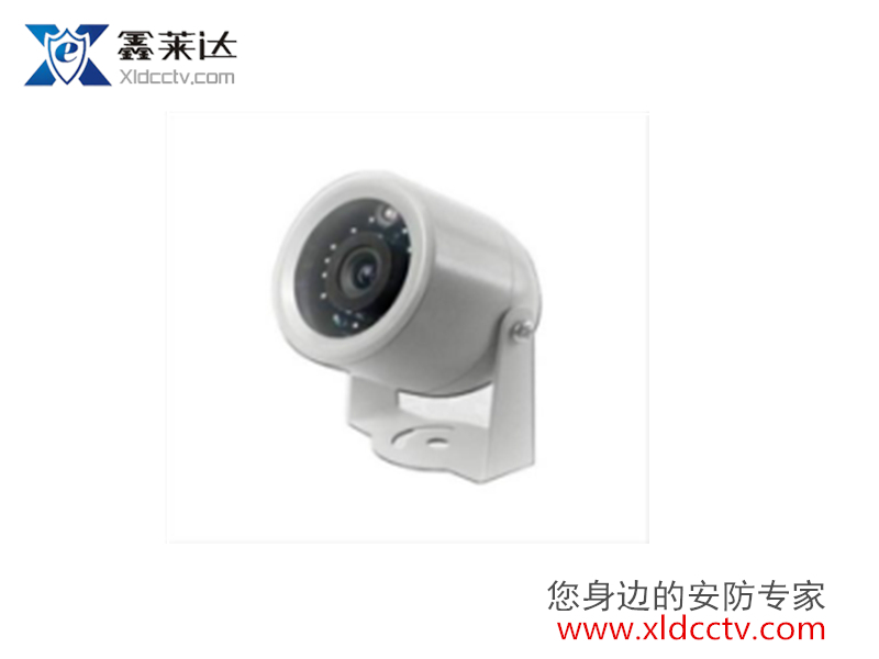 Goose egg camera XLD-R720LE/L